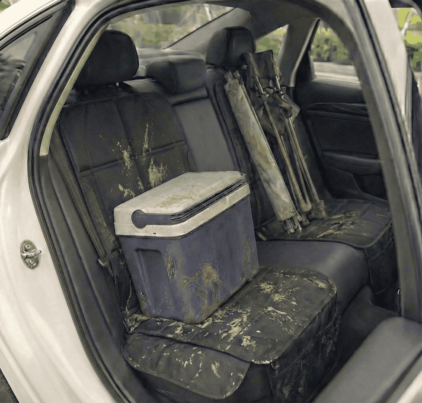 ™CleanSeat Protctor - כיסוי מושב רב תכליתי